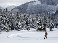Wanderung im Schnee Natur Resort Maria Waldrast